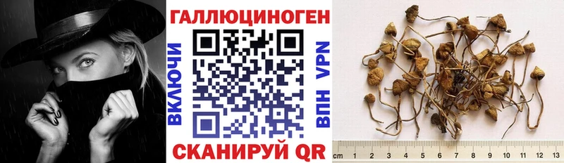 купить наркотики сайты  Пушкино  Псилоцибиновые грибы ЛСД 