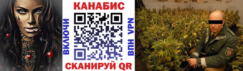 omg онион  Пушкино  Марихуана тримм  дарнет шоп 